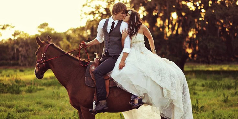 horse wedding 1