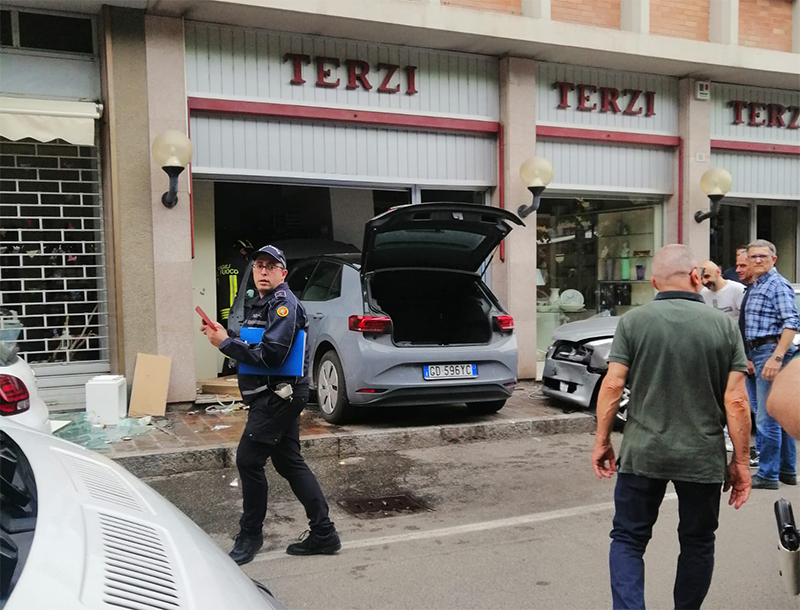 terzi home
