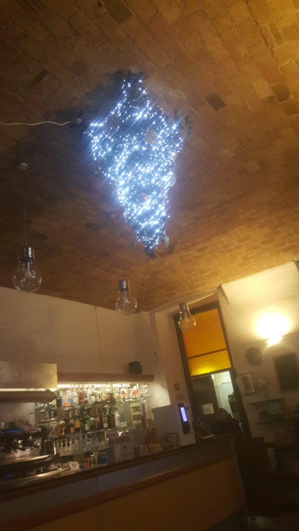 albero ecole