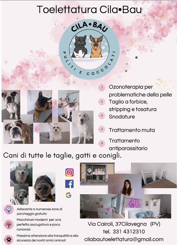 toelettatura