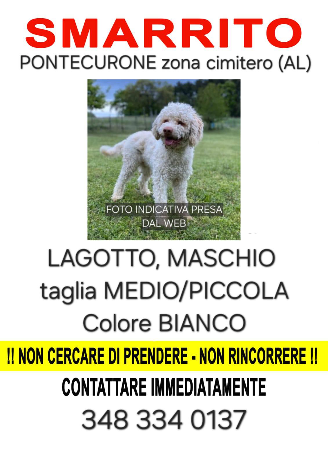 ANNUNCIO