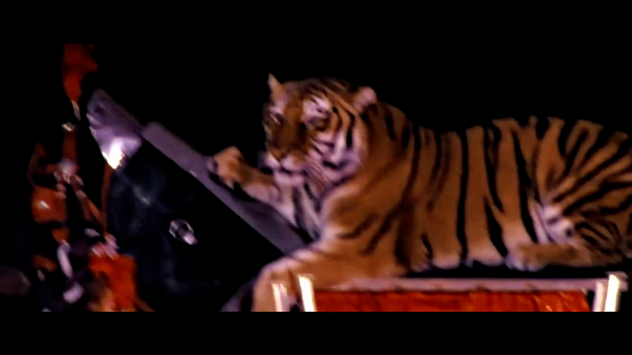 tigre