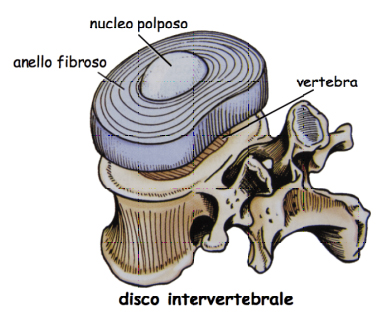 disco cervicale